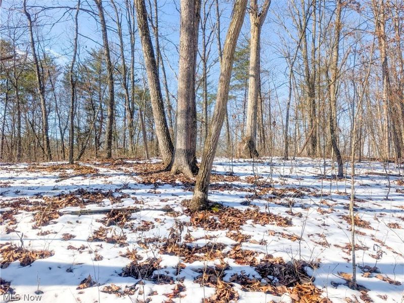 0 Tract 16 Ch 59, Cutler, OH 45724 Photo 3