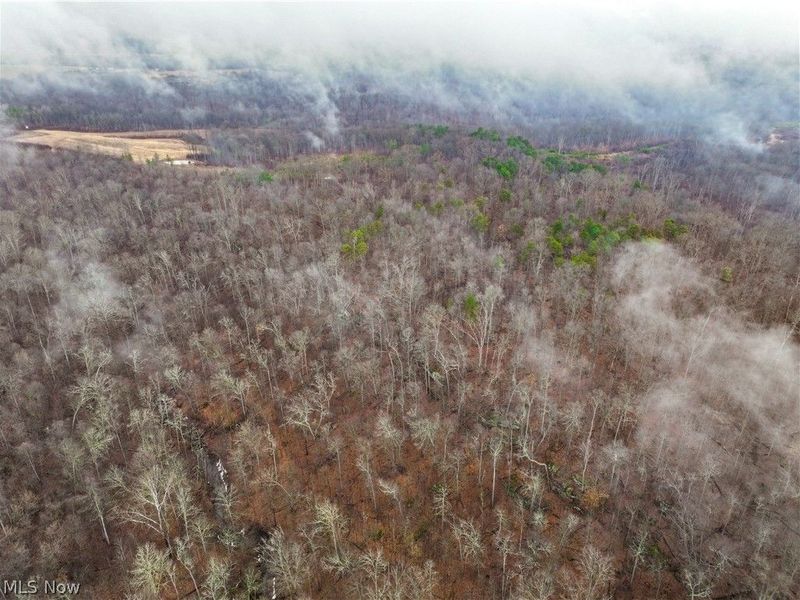 0 Tract 16 Ch 59, Cutler, OH 45724 Photo 30