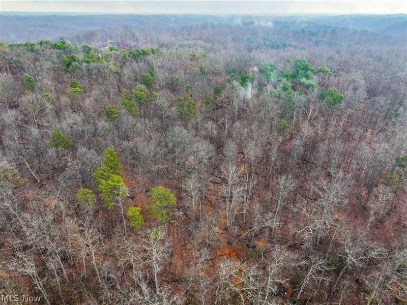 0 Tract 16 Ch 59, Cutler, OH 45724 Photo 32