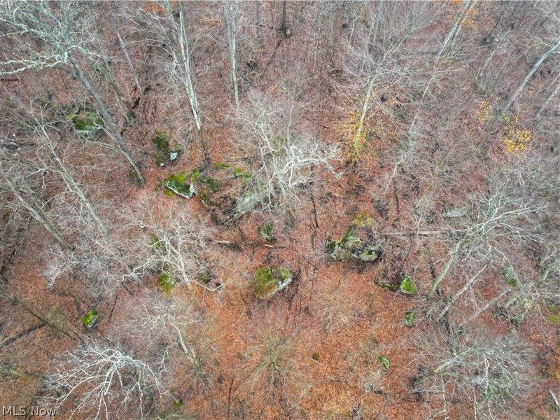 0 Tract 16 Ch 59, Cutler, OH 45724 Photo 33