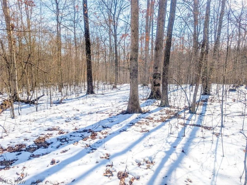 0 Tract 16 Ch 59, Cutler, OH 45724 Photo 4