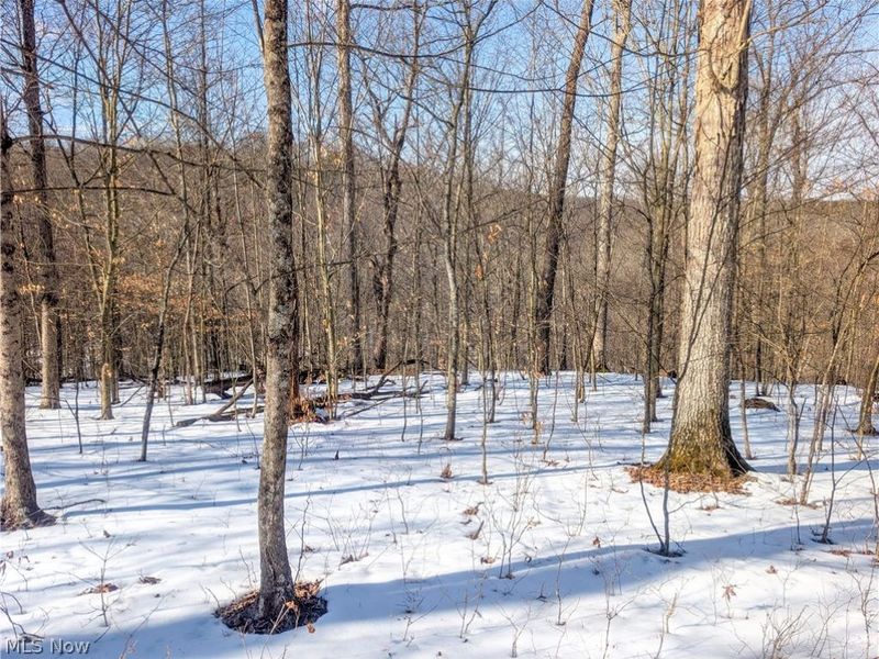 0 Tract 16 Ch 59, Cutler, OH 45724 Photo 5