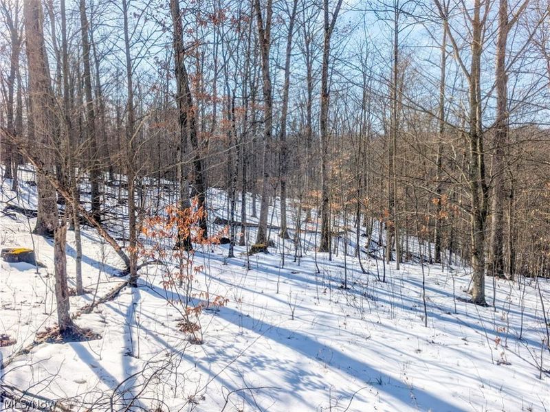 0 Tract 16 Ch 59, Cutler, OH 45724 Photo 6