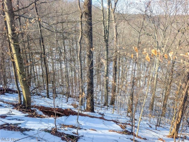 0 Tract 16 Ch 59, Cutler, OH 45724 Photo 7