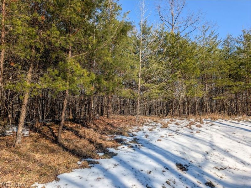 0 Tract 16 Ch 59, Cutler, OH 45724 Photo 8