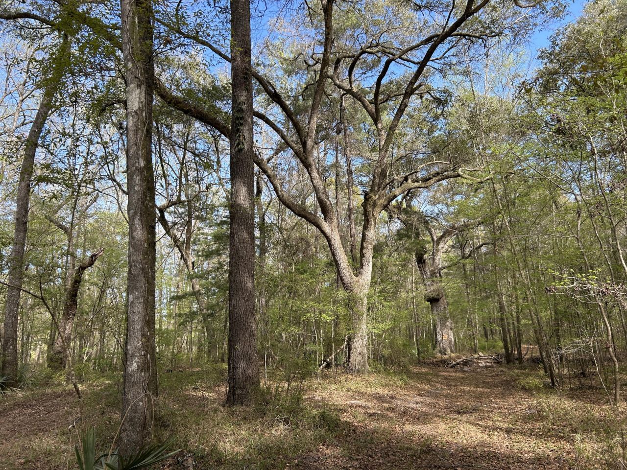 1 Boat Landing Road Photo 10