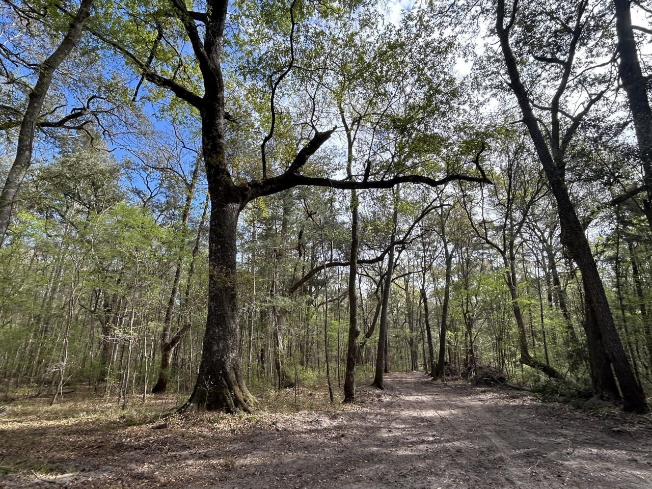 1 Boat Landing Road Photo 11
