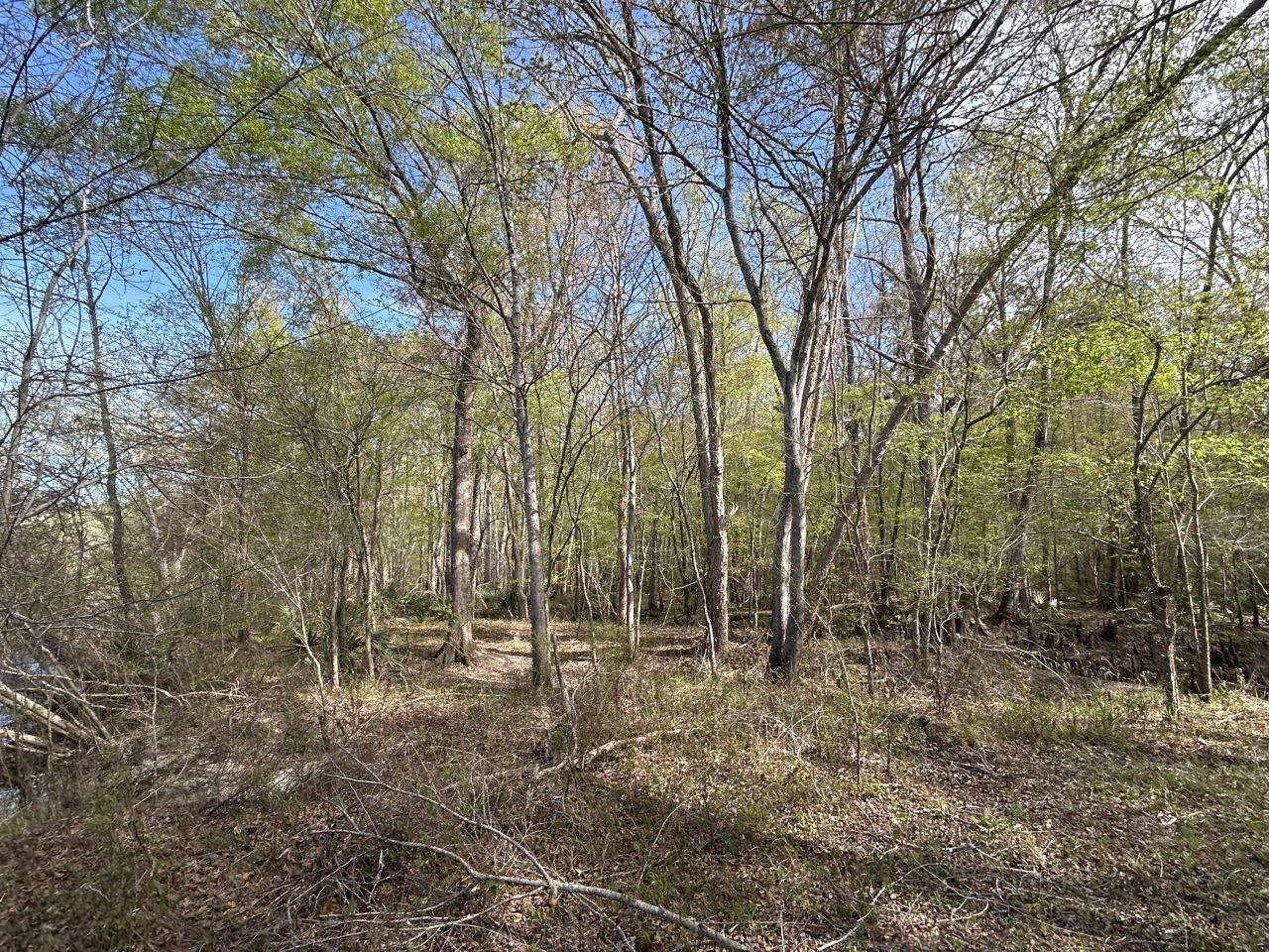 1 Boat Landing Road Photo 12