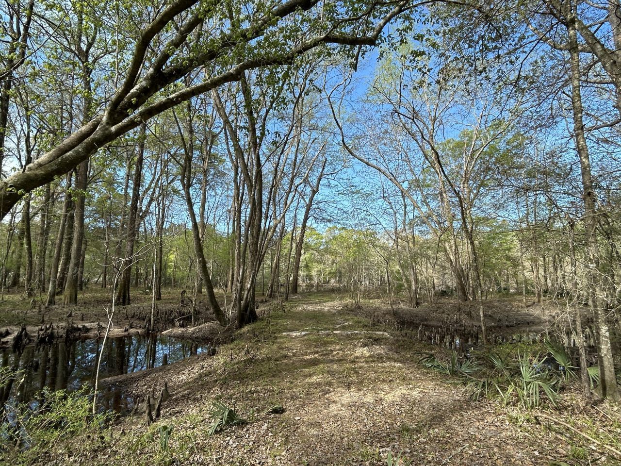 1 Boat Landing Road Photo 13