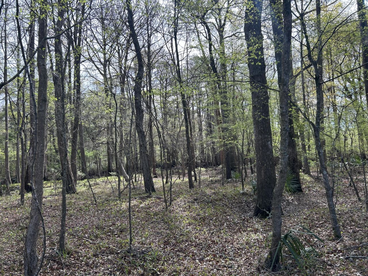 1 Boat Landing Road Photo 14