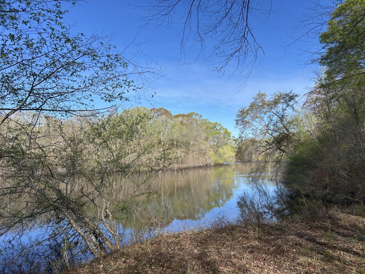 1 Boat Landing Road Photo 15