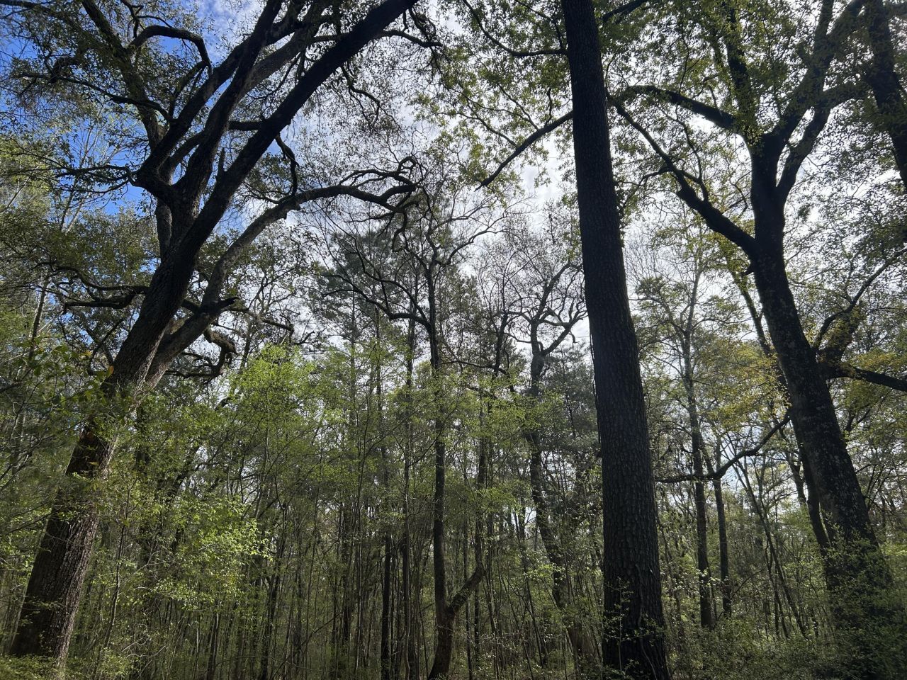 1 Boat Landing Road Photo 16