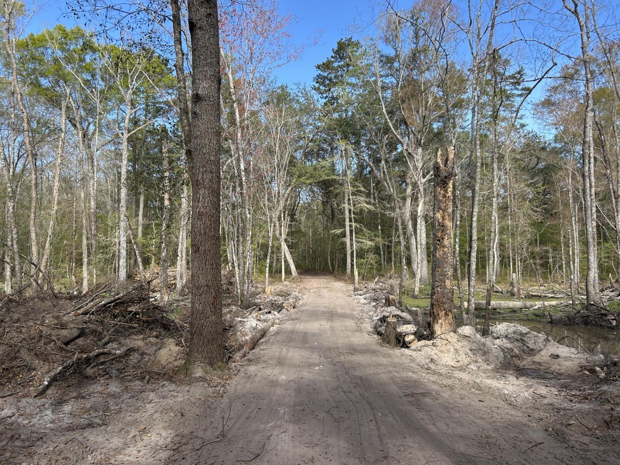 1 Boat Landing Road Photo 17