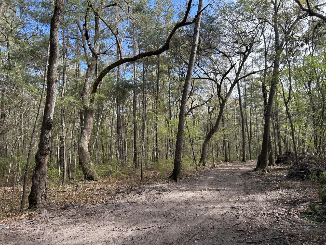 1 Boat Landing Road Photo 18