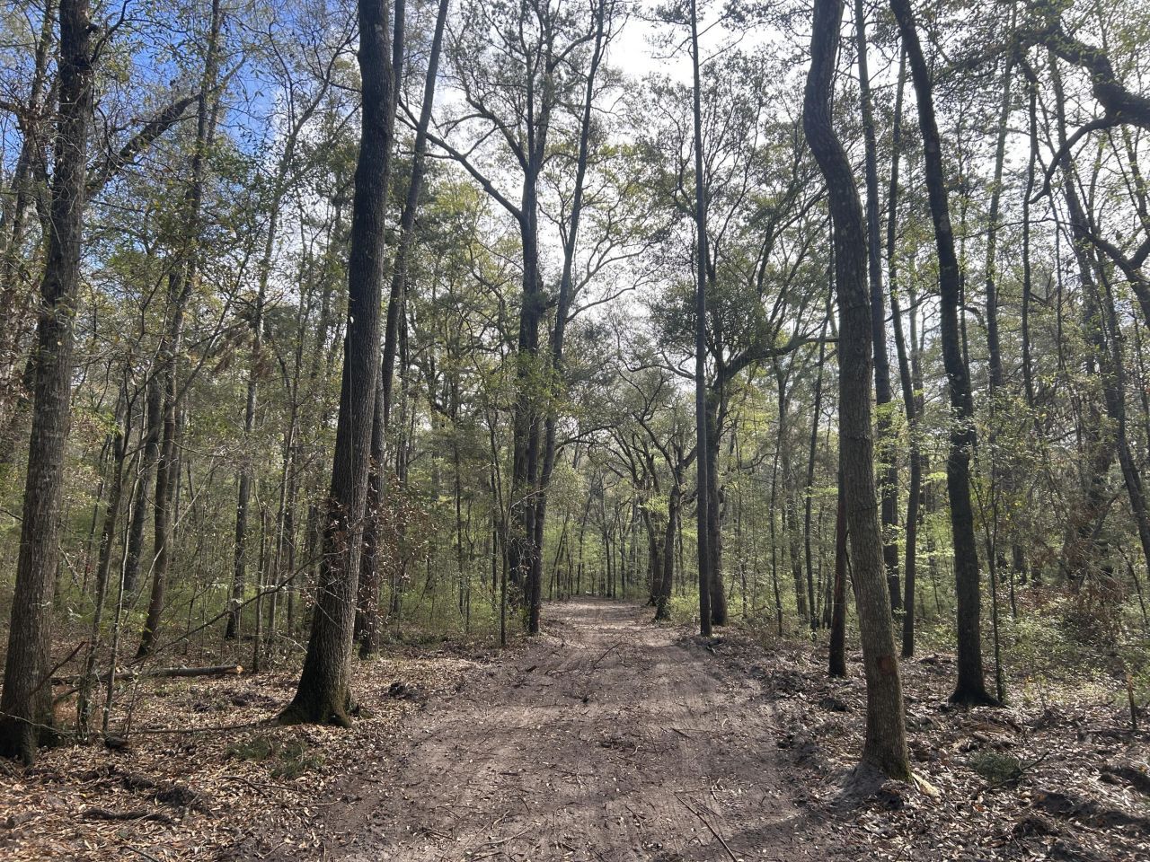 1 Boat Landing Road Photo 19