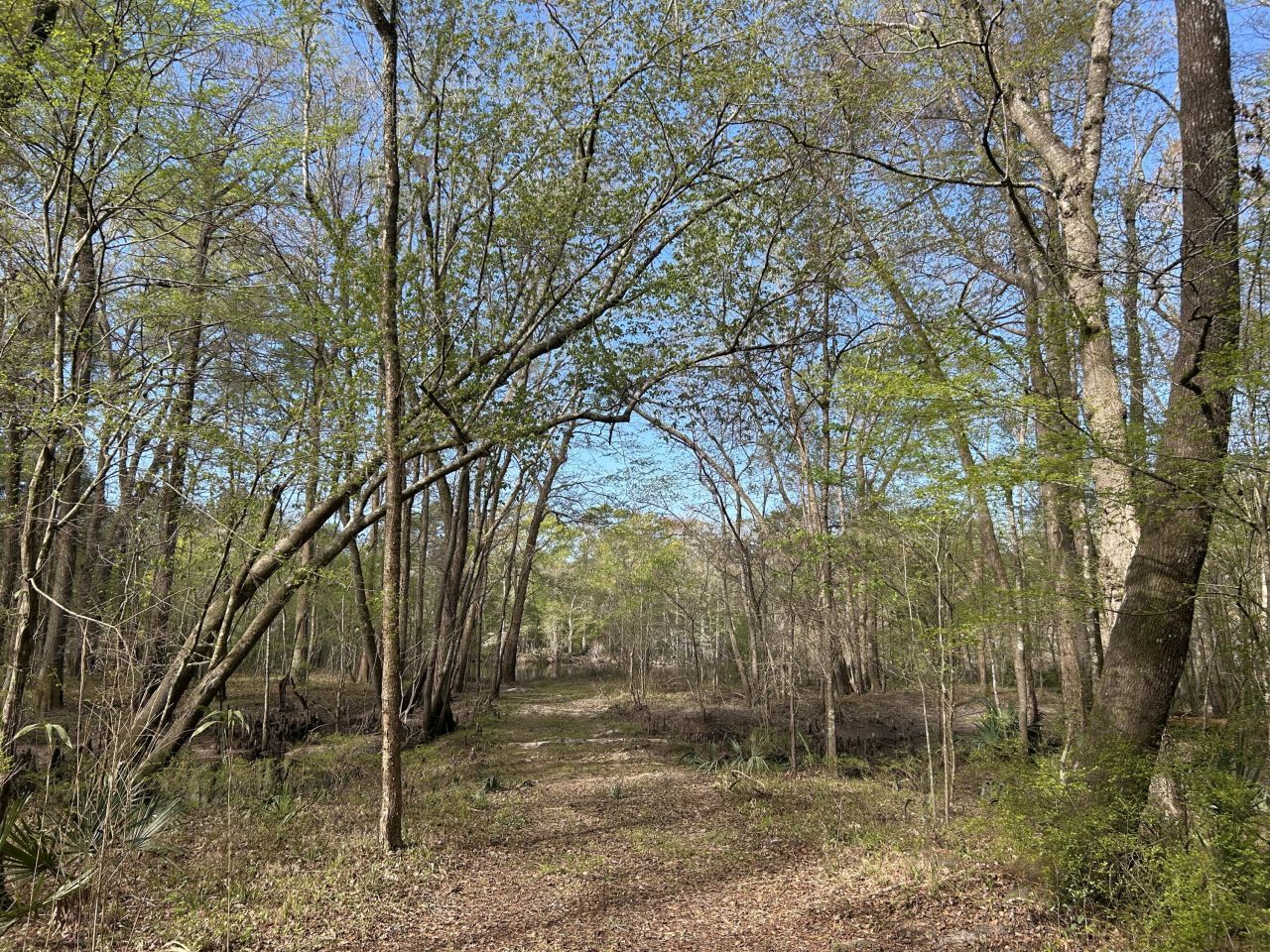 1 Boat Landing Road Photo 20