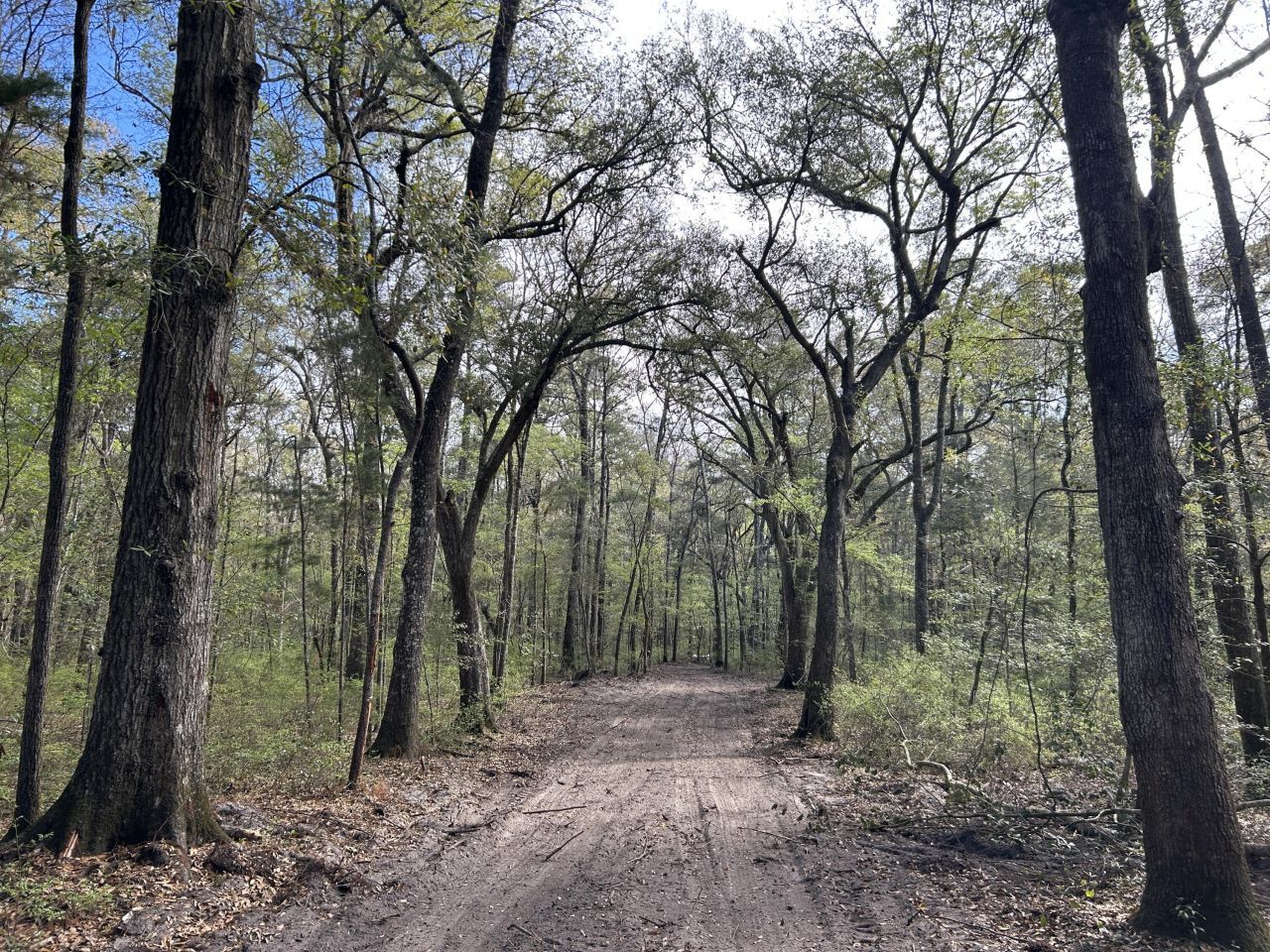 1 Boat Landing Road Photo 21