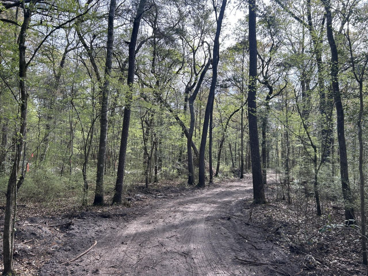 1 Boat Landing Road Photo 22