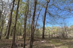 1 Boat Landing Road photo 4