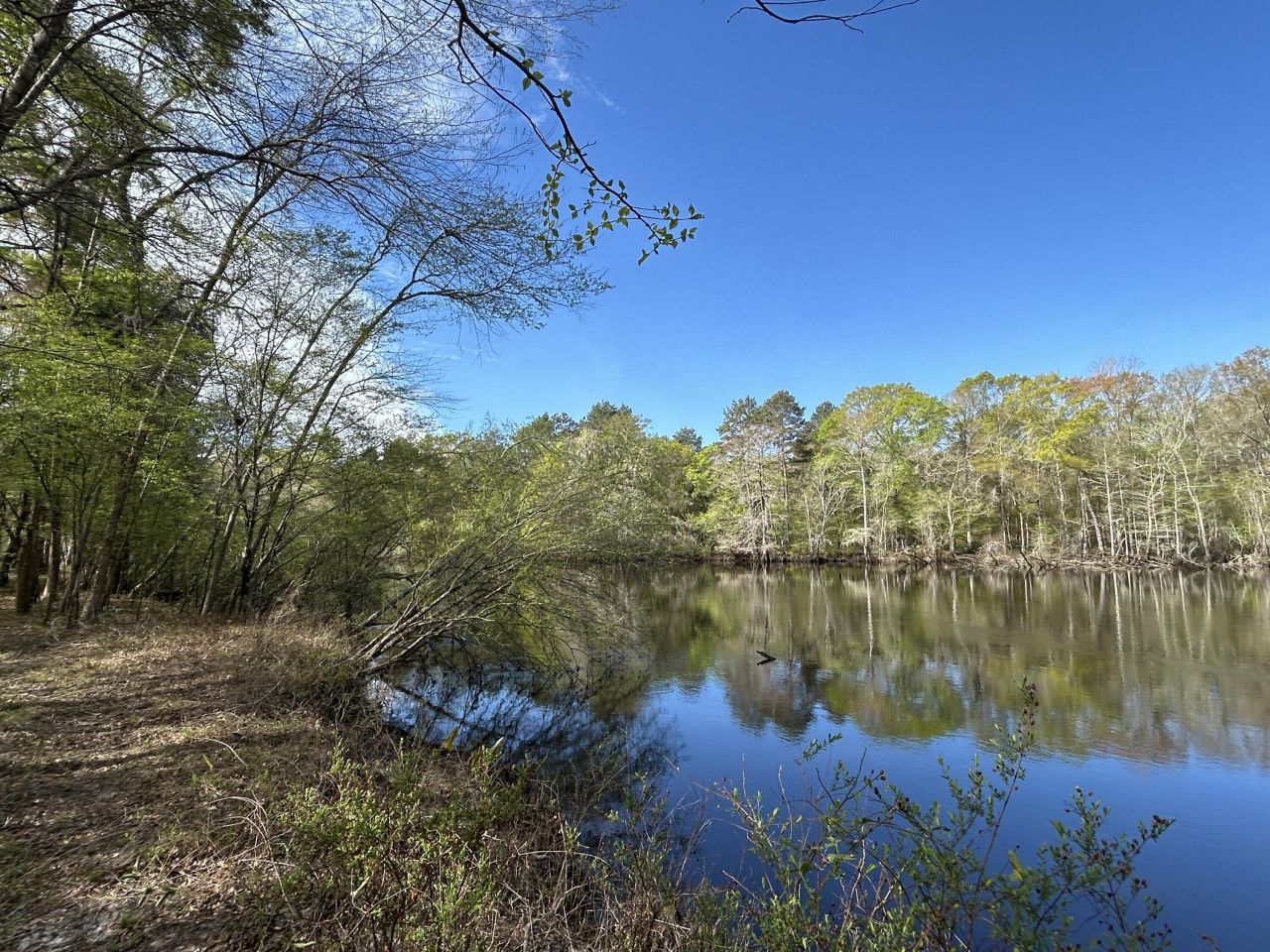 1 Boat Landing Road Photo 4