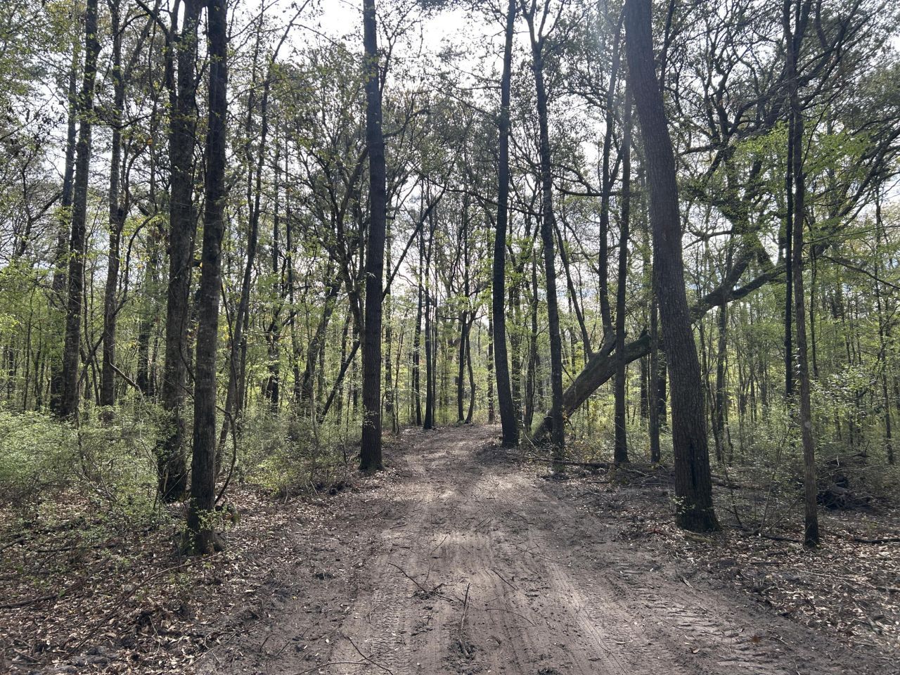 1 Boat Landing Road Photo 5