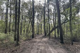 1 Boat Landing Road photo 4