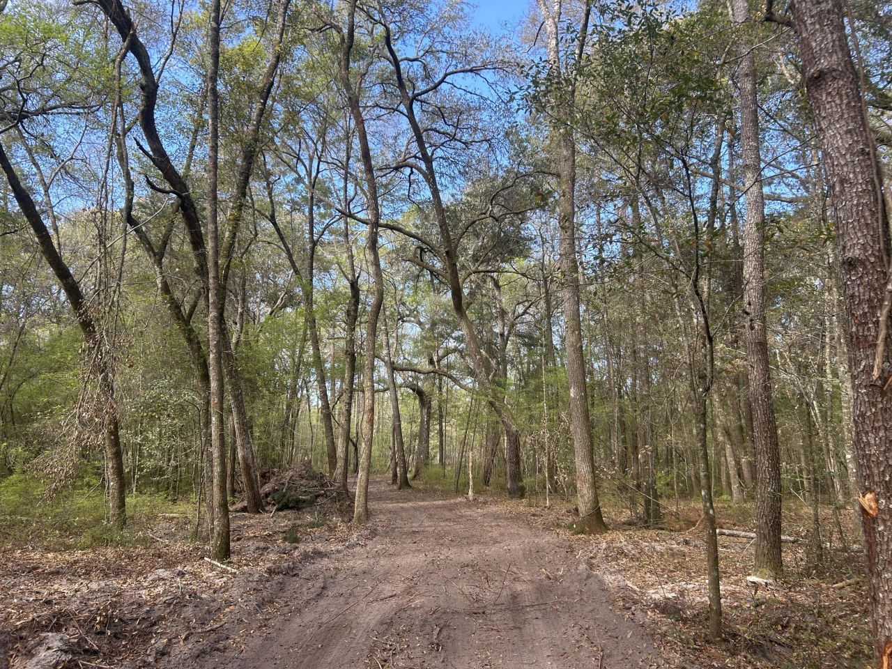 1 Boat Landing Road Photo 6