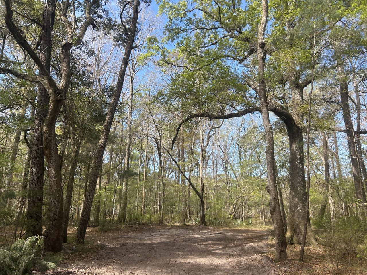 1 Boat Landing Road Photo 8