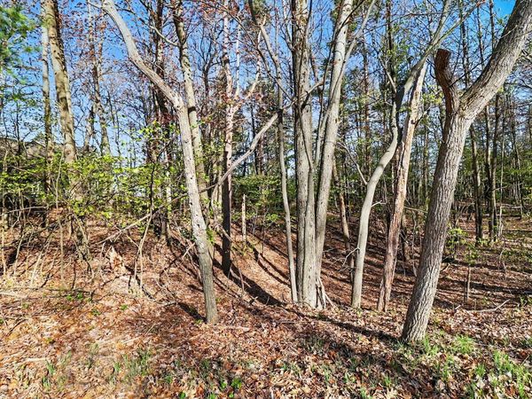 Lot 11 Silver Ridge Road, Mears, MI 49436