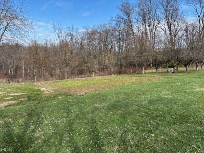 25486 Ridge Road, East Rochester, OH 44625 Photo 35