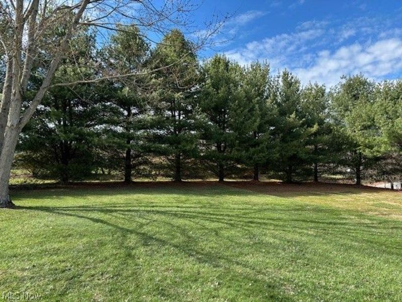 25486 Ridge Road, East Rochester, OH 44625 Photo 36