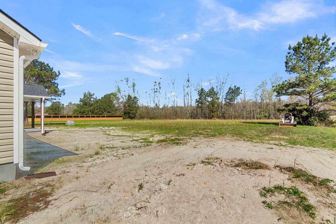 197 Dandelion Court Photo 45