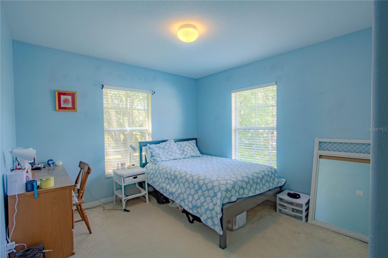 10917 Brickside Court , Riverview, FL 33579 Photo