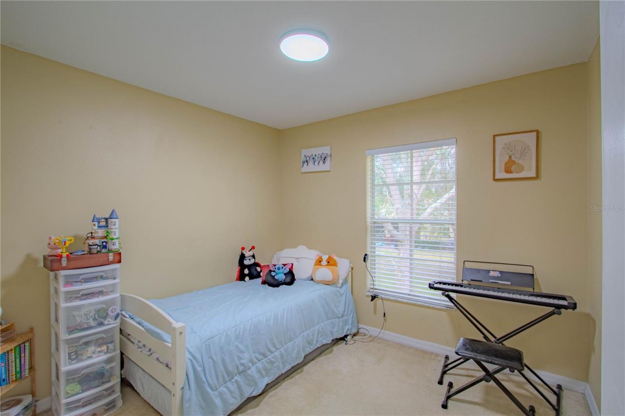 10917 Brickside Court , Riverview, FL 33579 Photo