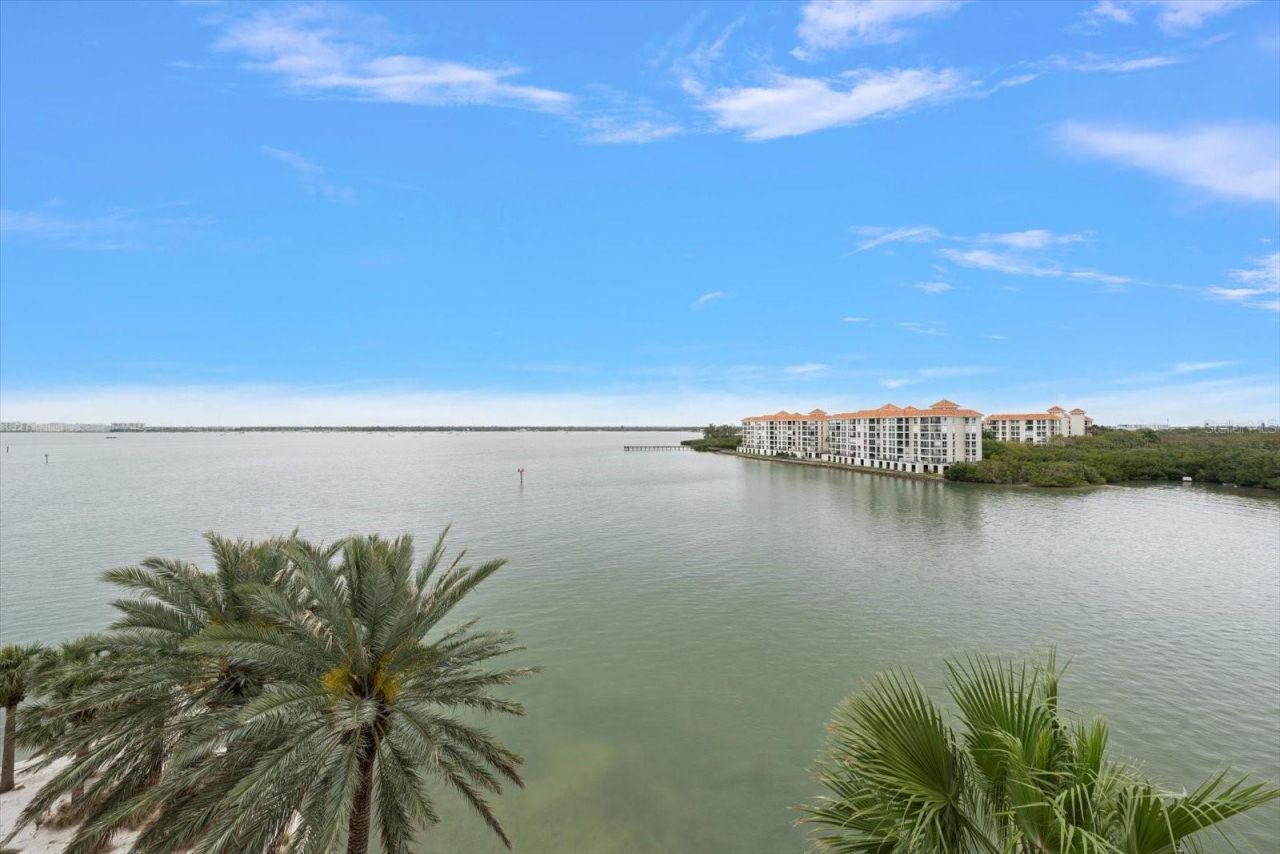 4993 Bacopa Lane S, Unit 505, Saint Petersburg, FL 33715 Photo