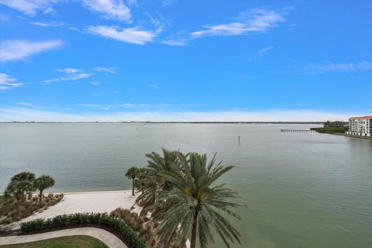 4993 Bacopa Lane S, Unit 505, Saint Petersburg, FL 33715 Photo