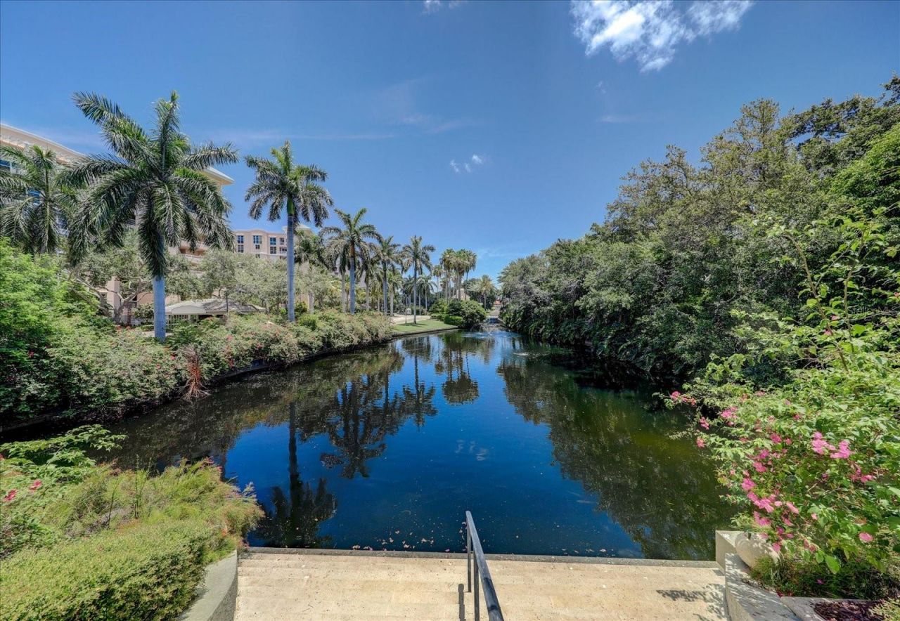 4993 Bacopa Lane S, Unit 505, Saint Petersburg, FL 33715 Photo