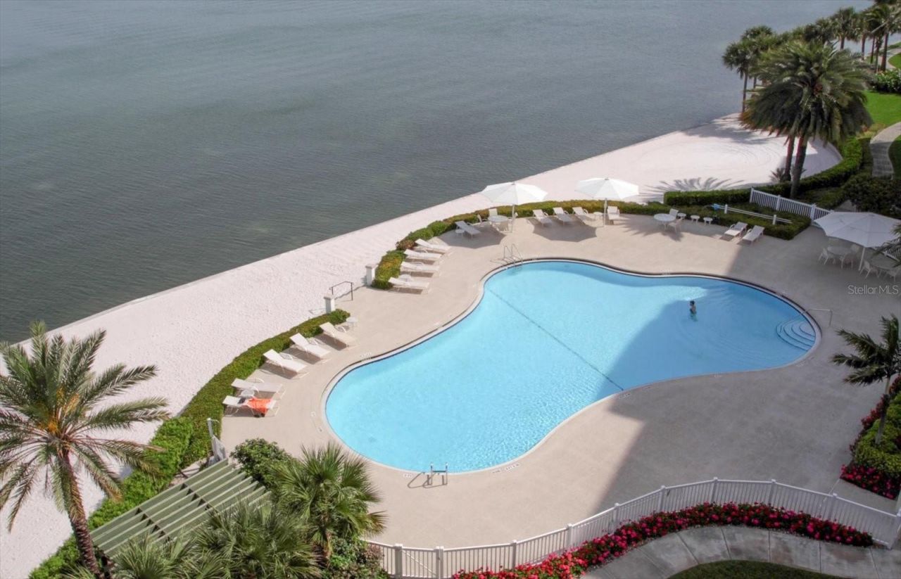 4993 Bacopa Lane S, Unit 505, Saint Petersburg, FL 33715 Photo