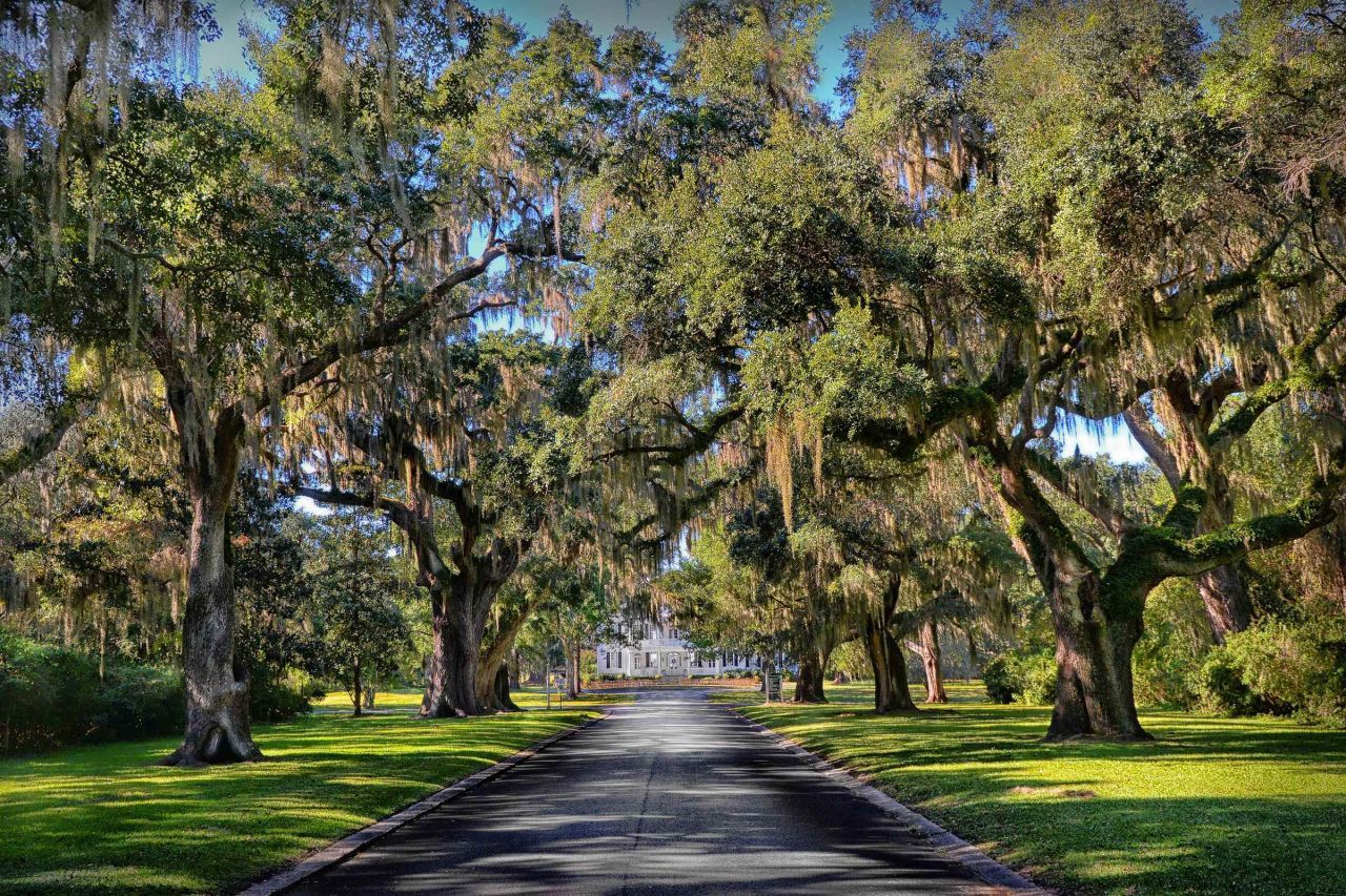 72 Landing Rd.  Photo 36