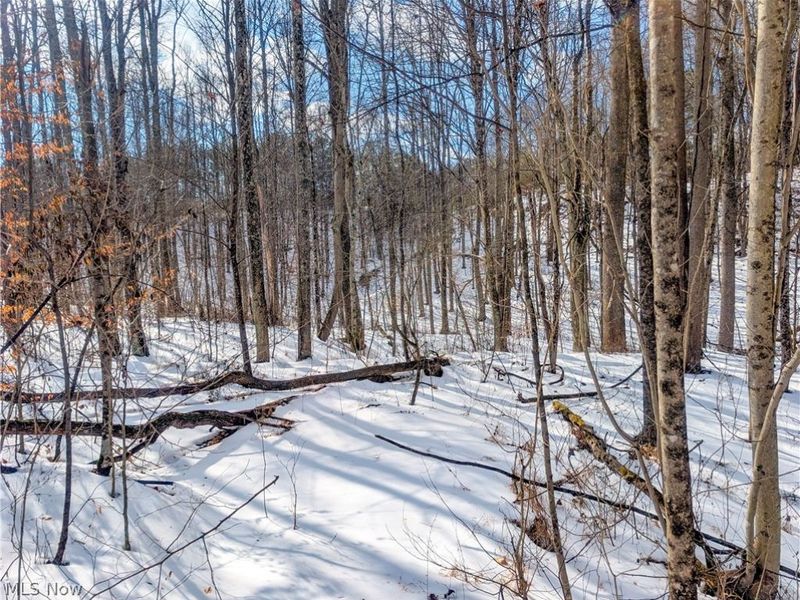 0 Tract 15 Peaker Run, Macksburg, OH 45745 Photo 11
