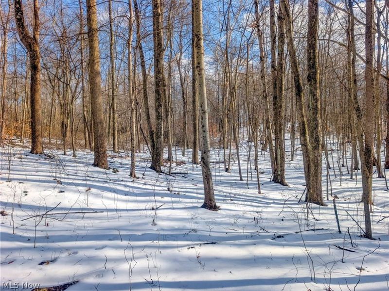0 Tract 15 Peaker Run, Macksburg, OH 45745 Photo 16