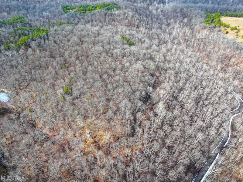 0 Tract 15 Peaker Run, Macksburg, OH 45745 Photo 18