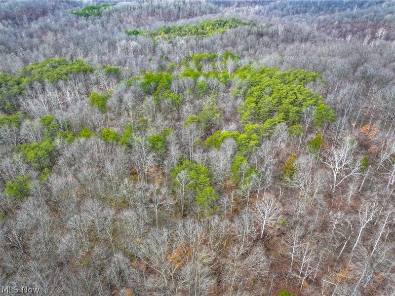 0 Tract 15 Peaker Run, Macksburg, OH 45745 Photo 29