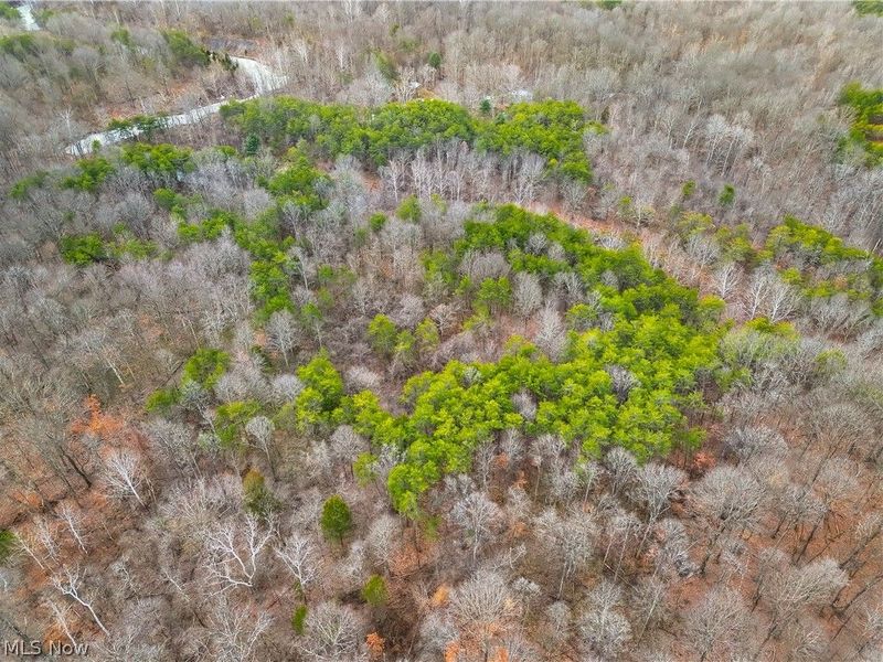 0 Tract 15 Peaker Run, Macksburg, OH 45745 Photo 34