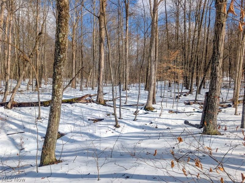 0 Tract 15 Peaker Run, Macksburg, OH 45745 Photo 6