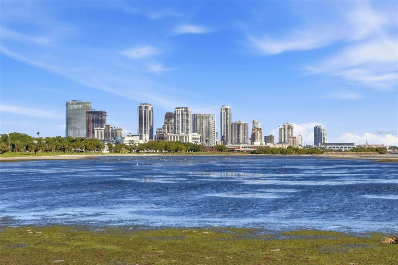 369 22nd Avenue Se, Saint Petersburg, FL 33705 Photo