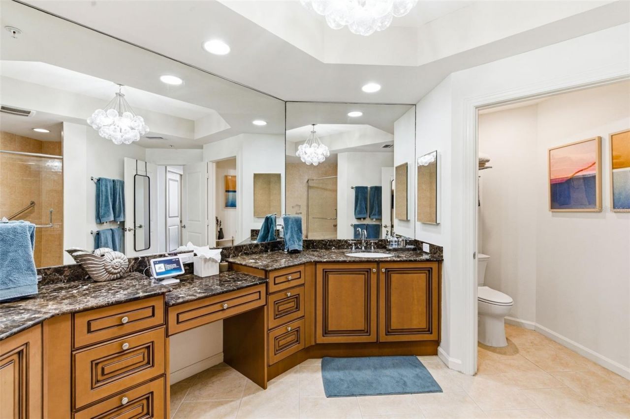 5823 Bowen Daniel Drive, Unit 702, Tampa, FL 33616 Photo