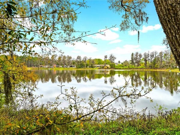 18117 BOY SCOUT ROAD, ODESSA, FL 33556