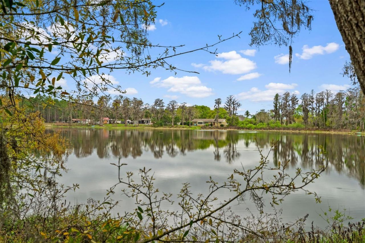 18117 Boy Scout Road, Odessa, FL 33556 Photo