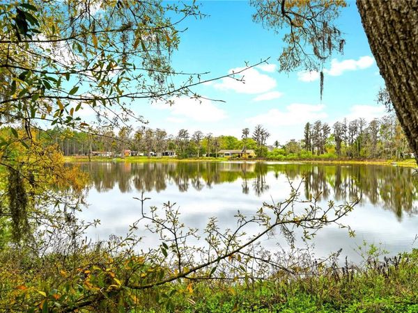 18150 BURRELL ROAD, ODESSA, FL 33556